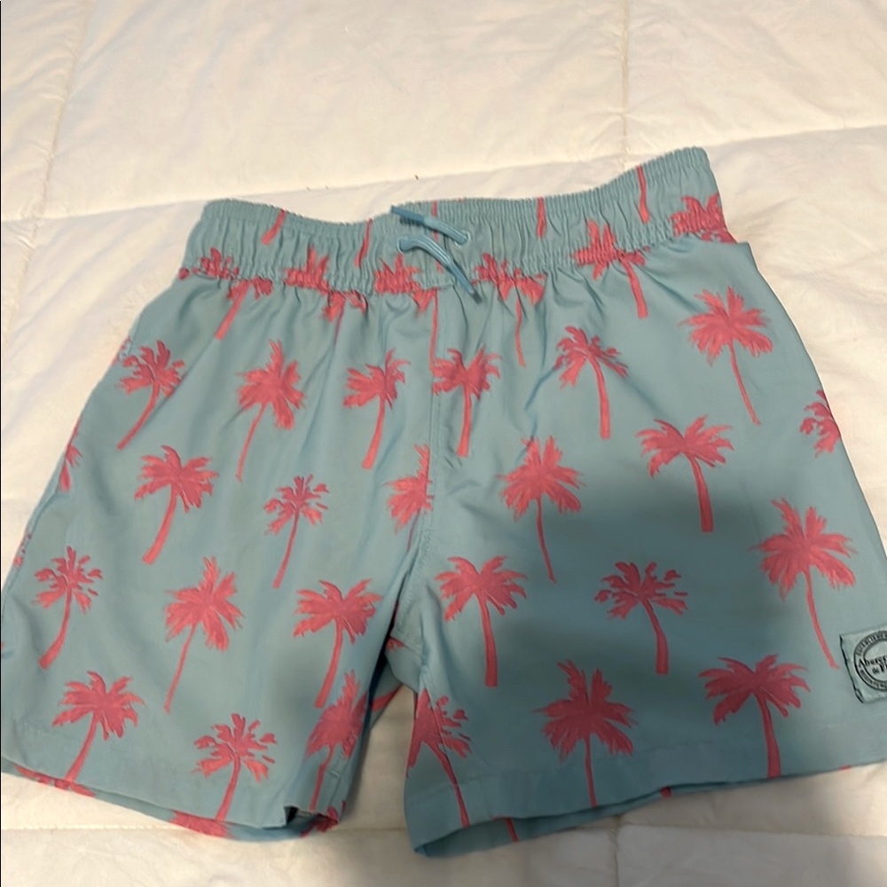 Abercrombie Kids Blue and Pink Swim Shorts